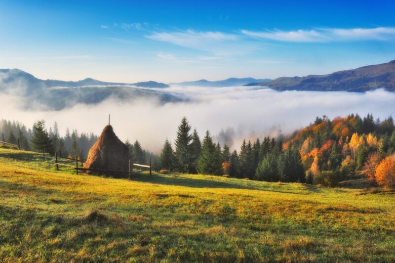 shutterstock_1264549945