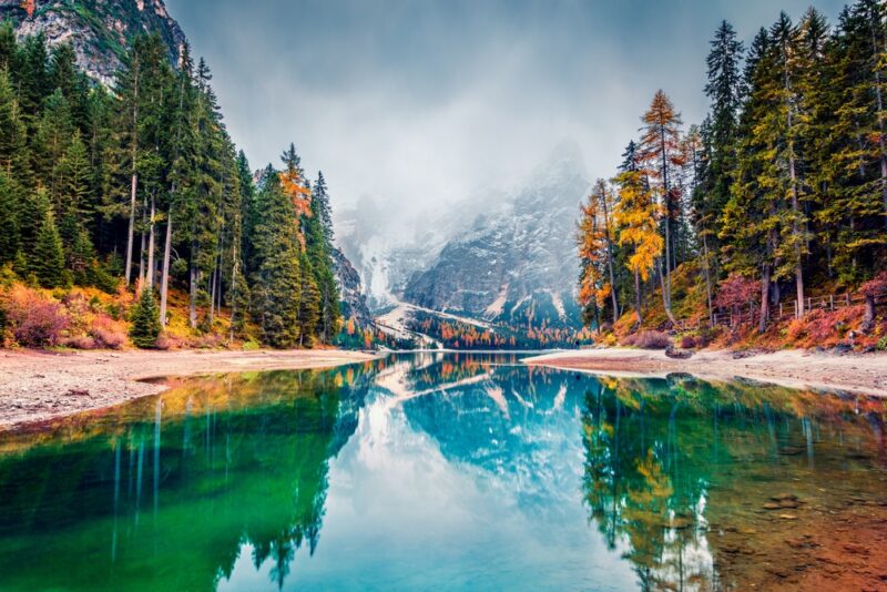 shutterstock_705417262