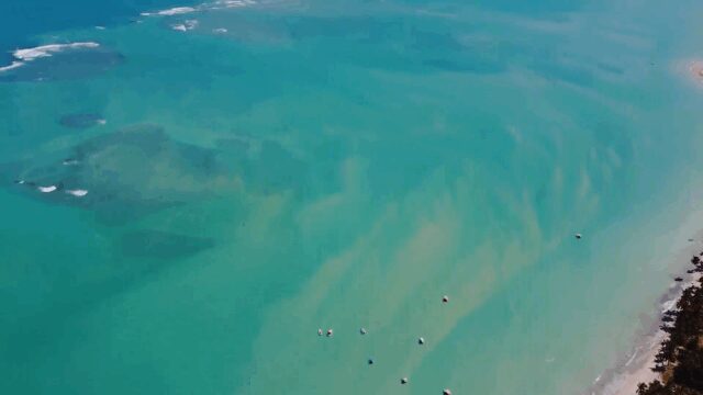 coverr-relaxing-tropical-beach
